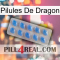 Dragon Pills 22